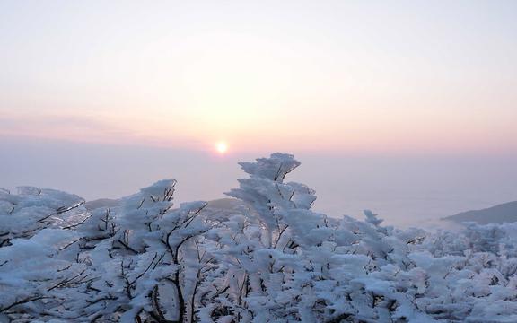 二十四节气大雪