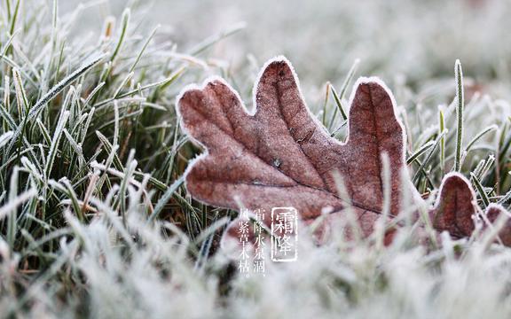 霜降节气