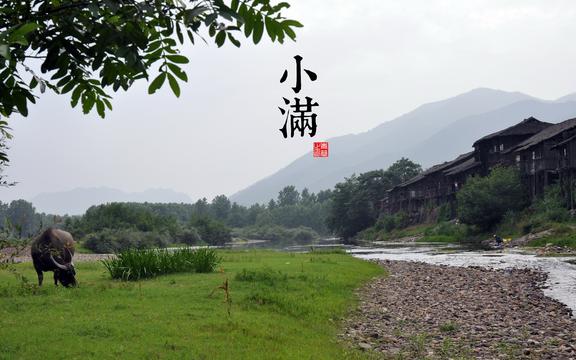 小满节气风景