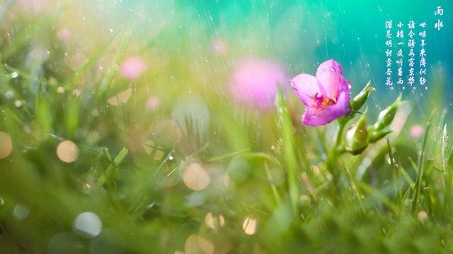 24节气之雨水