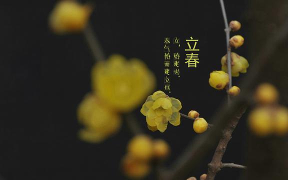 唯美二十四节气立春