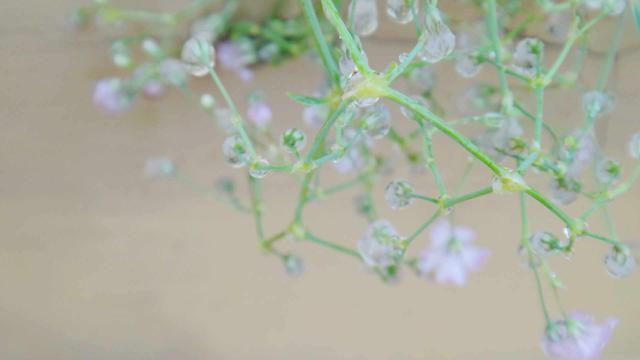 雨水节气风景