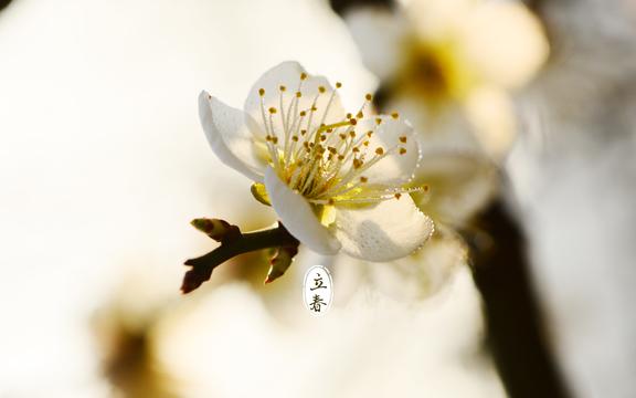 立春节气自然风景