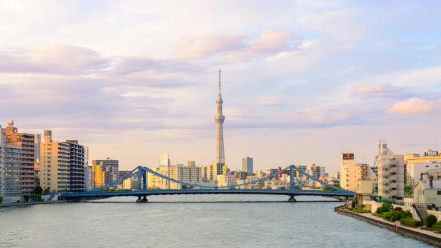 东京的著名建筑——东京塔