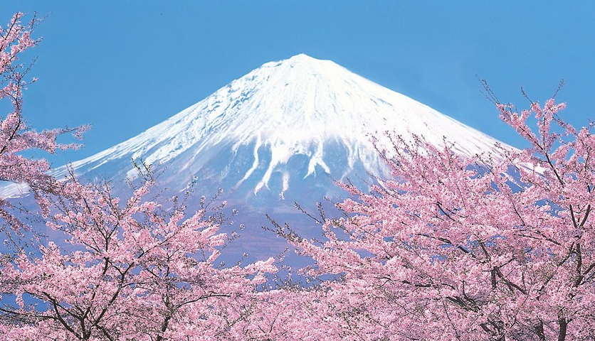 美丽富士山