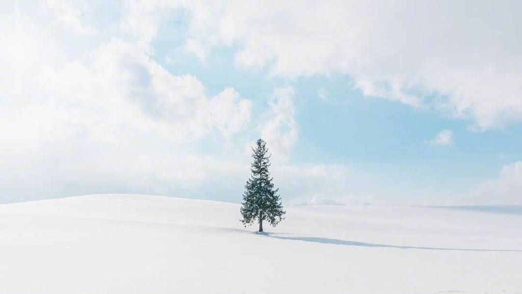 北海道的雪