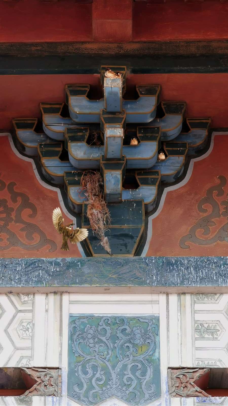 满檐春鸟语