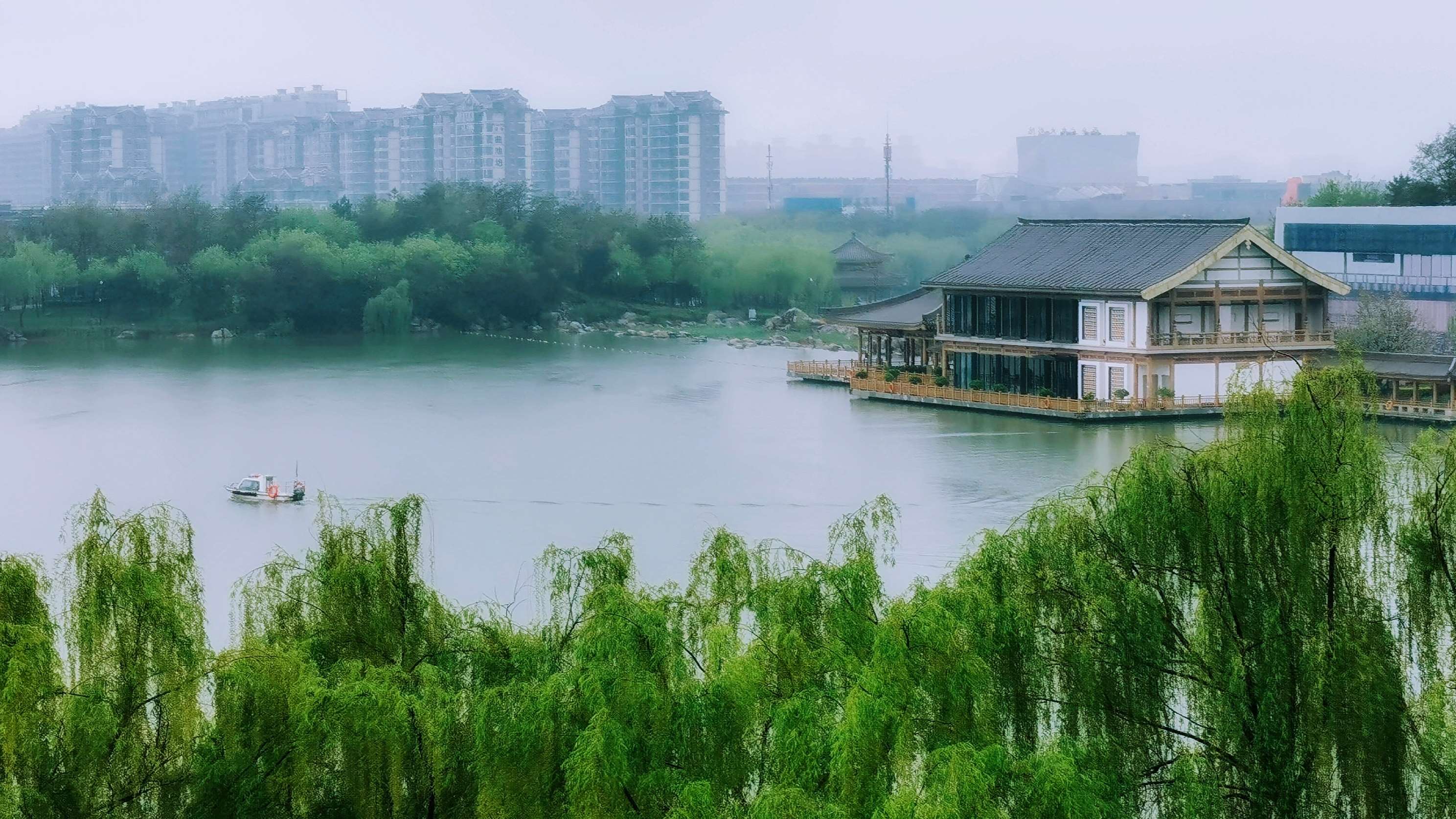 春风沐雨杨柳青