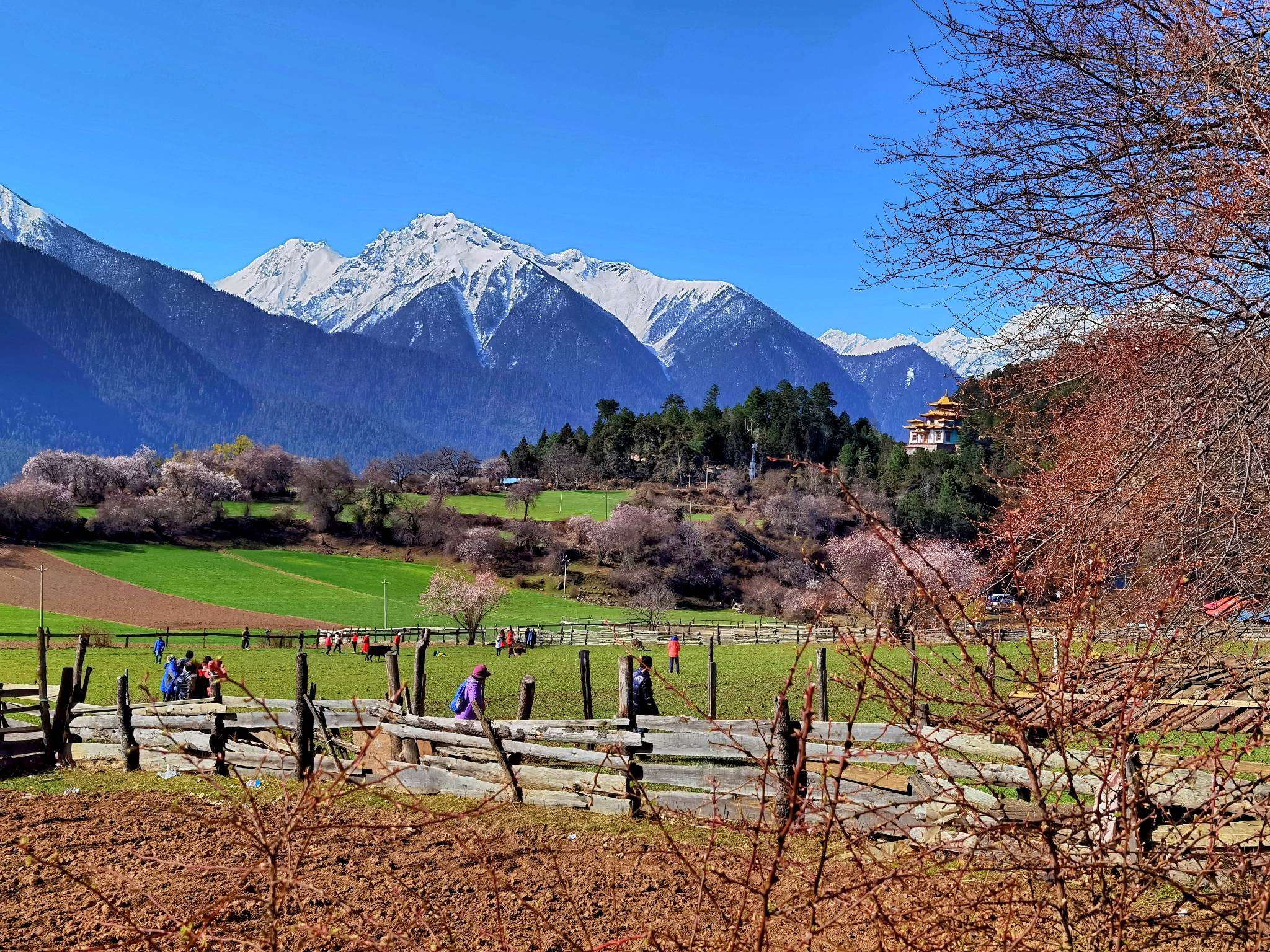 嘎朗桃花村