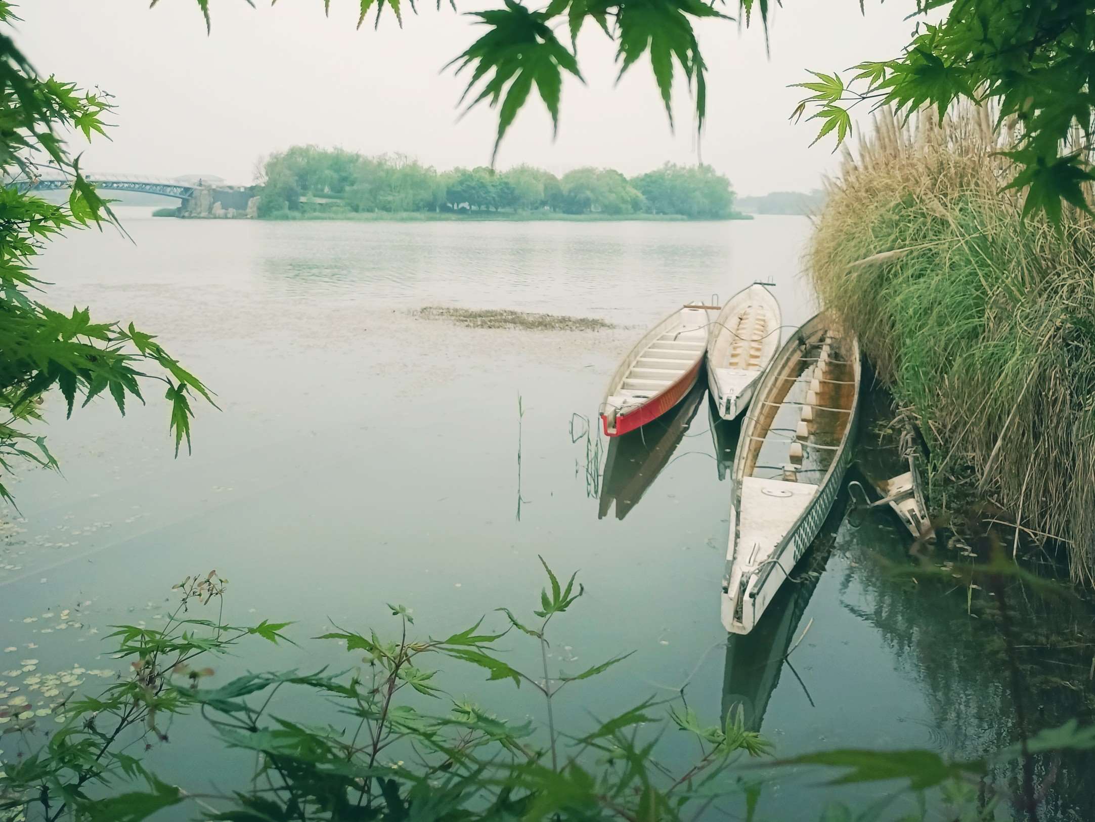  美丽的金山湖