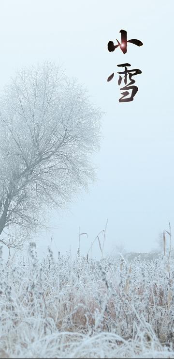 小雪雪满天,来年必丰年