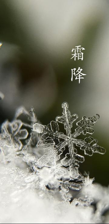 冰天雪地霜降后