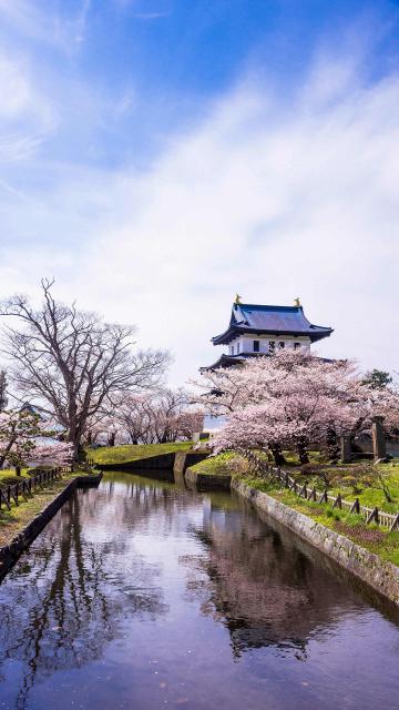 赏樱胜地—松前城