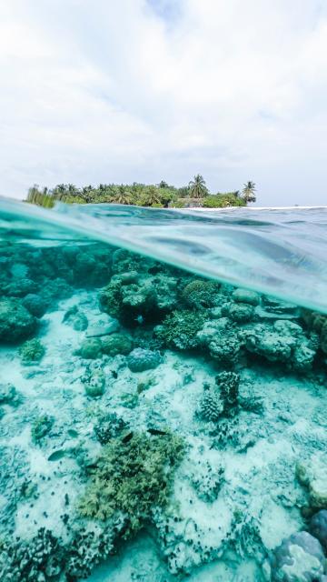 汹涌澎湃的大海