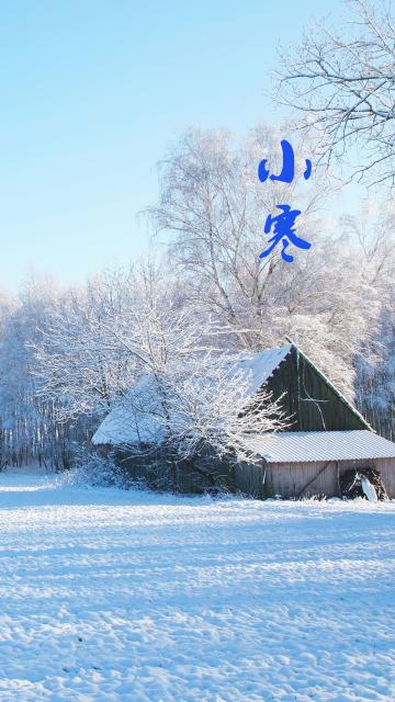 小寒时节白雪皑皑