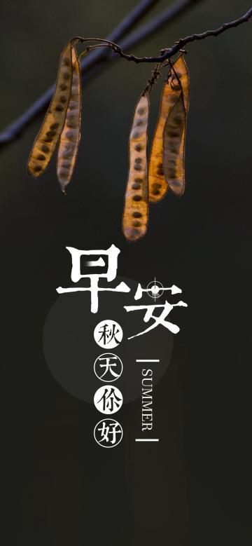 早安/秋天你好