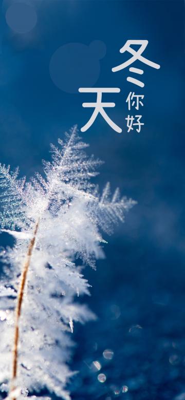 洁白的雪花,给你美丽的冬季