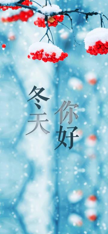 飘雪时节,漫天飞雪