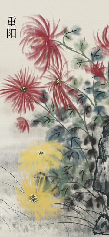 重阳节菊花插画