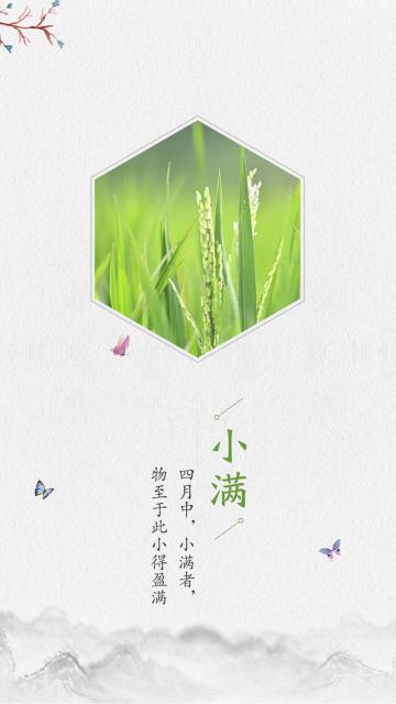 创意简约24节气小满