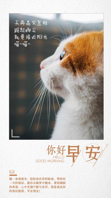 你好早安可爱猫咪的心语