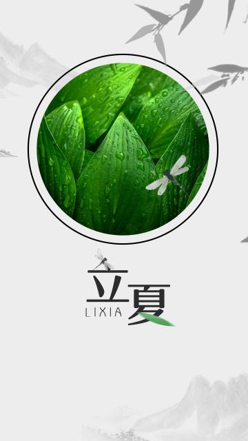 清新简约二十四节气立夏