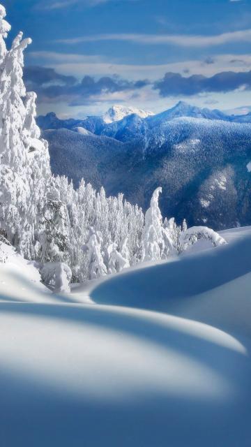 雪景景观