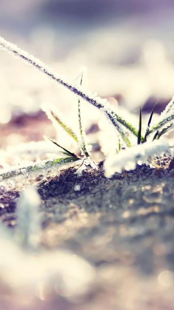 地面的雪花和霜