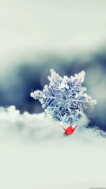 宏观的雪花照片特写镜头