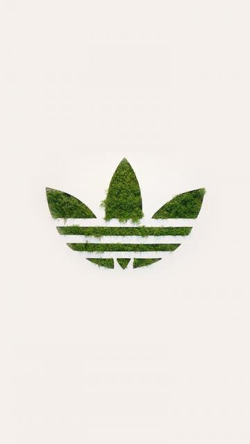 Adidas绿色三叶草