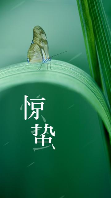 绿色小清新惊蛰节气