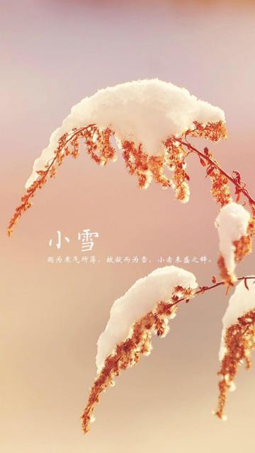 小雪轻寒来造访