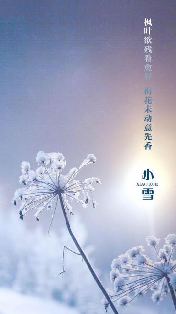 小雪时节至