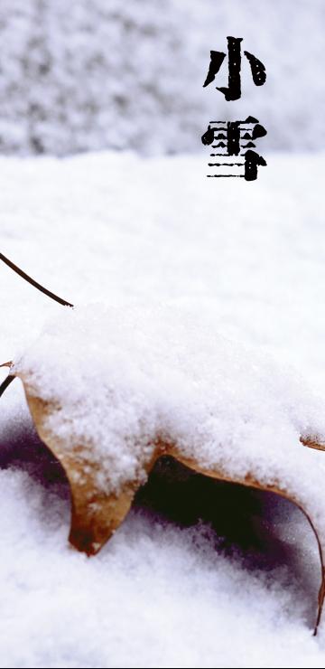 小雪时节有三候