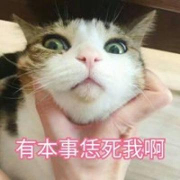 超搞笑文字头像