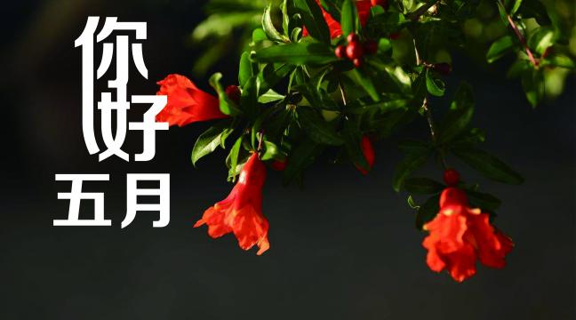 春暖花开你好五月