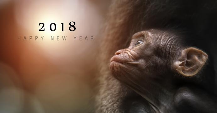 2018猴子的展望