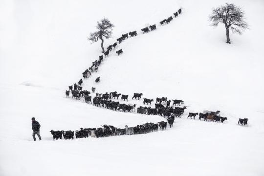 雪中跋涉