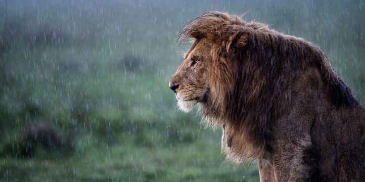 静待雨停