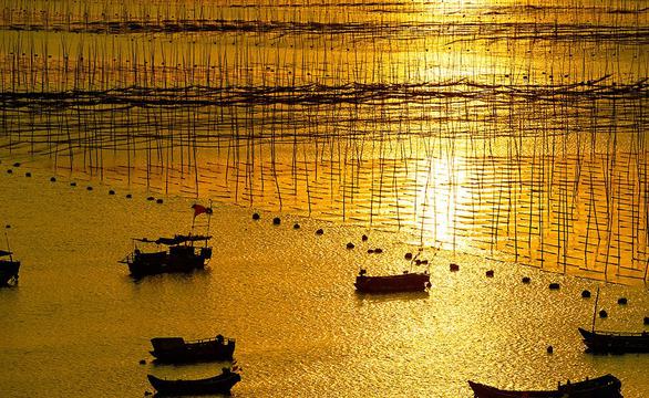 金色港湾