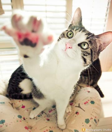 Give me five