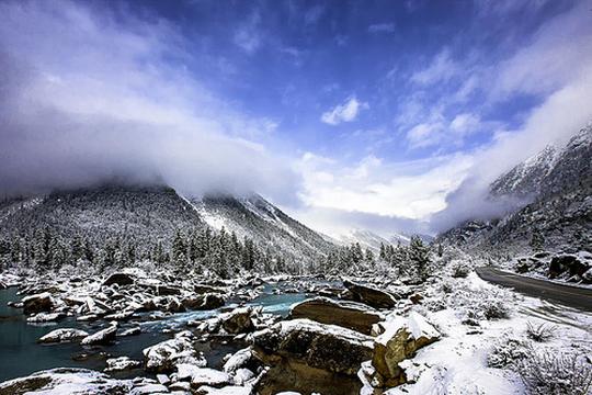 雪霁然乌