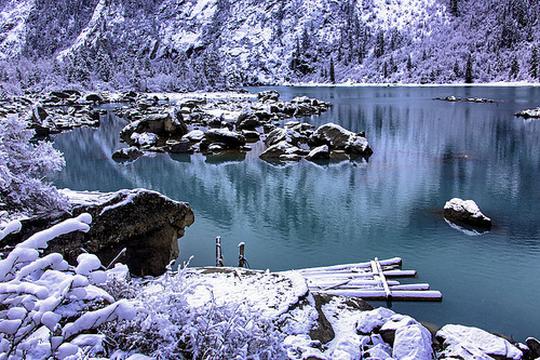 寒江雪