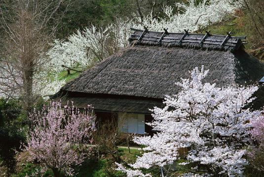 幽静的木屋