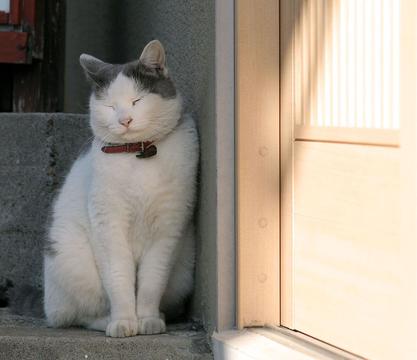 刺眼的阳光