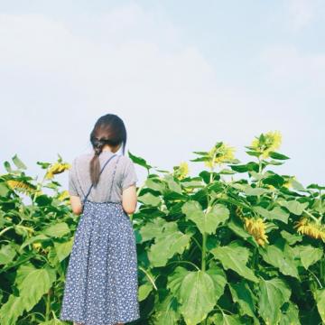 面向花海女生头像