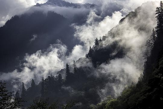 仙山雾弥