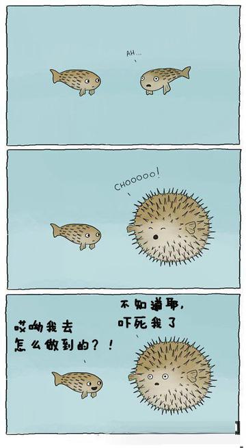 呆萌治愈系