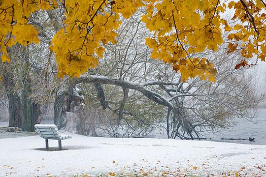 暮色薄雪