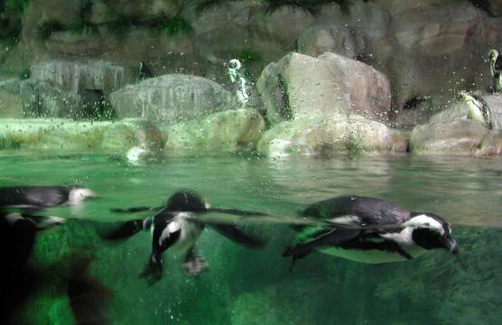 韩国釜山水族馆